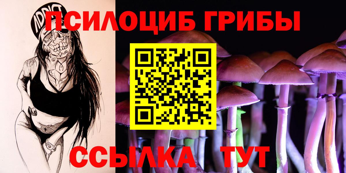 Королёв  Галлюциногенные грибы Cubensis  Вход с VPN 