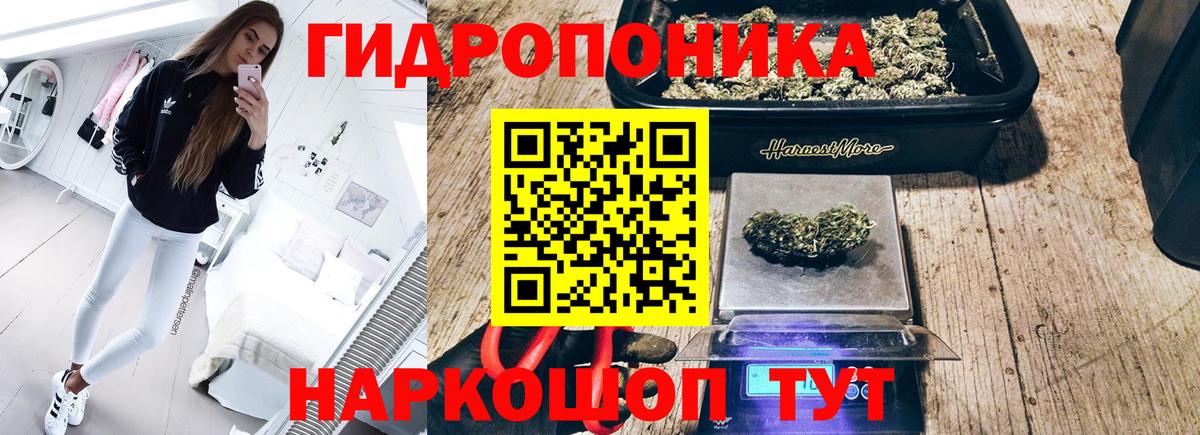 Канабис гибрид Королёв